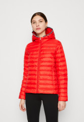 Tommy Hilfiger DOWN JACKET Down jacket fireworks ПУХОВИК Пуховик салют